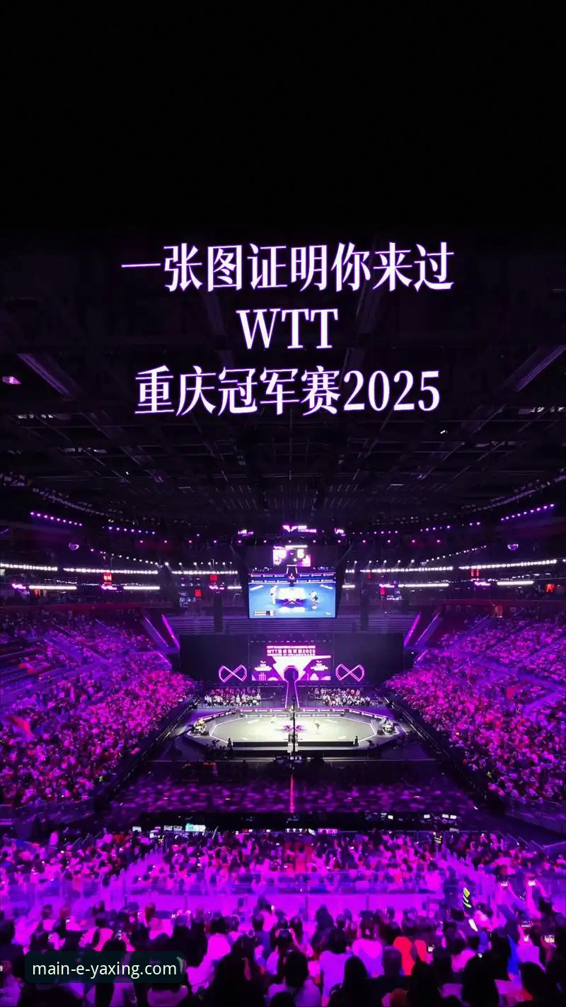 揭秘WTT重庆赛：一场青春风暴背后的平台观赛新体验